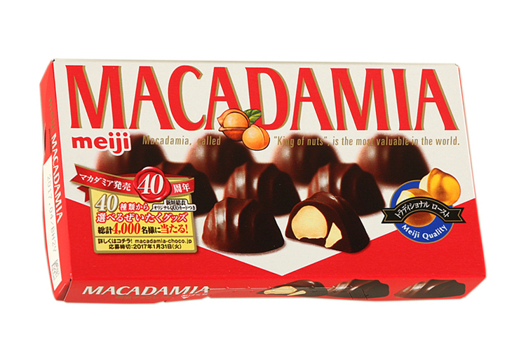 MEIJI MACADAMIA CHOCOLATES 64G